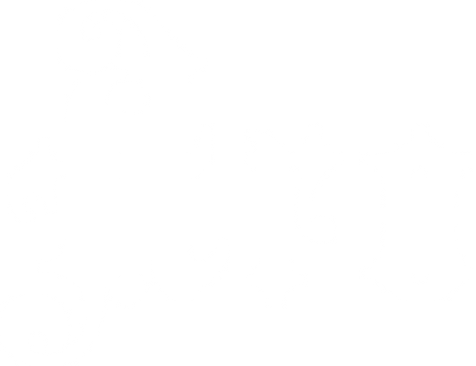 Aro Cafe & Aro Coffee Aro Cafe & Aro Coffee